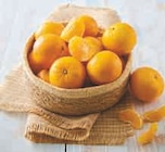 Promo Clementine à 3,99 € dans le catalogue U Express à Mulhouse