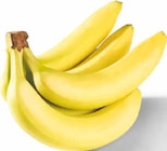 Aktuelle Bananen Angebote bei Netto Marken-Discount in Magdeburg Aktuelles Bananen Angebot bei Netto Marken-Discount in Magdeburg ab 1,00 €
