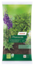 Pflanzerde von toom im aktuellen toom Baumarkt Prospekt für 12,99 €