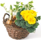 Bepflanzter Holzkorb mit Frühlingsblumen im aktuellen Netto mit dem Scottie Prospekt