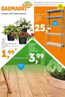 Balkonpflanzen im Globus-Baumarkt Prospekt "Immer eine Idee besser" mit 20 Seiten (Koblenz)
