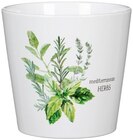 Übertopf Mediterrane Kräuter im Angebot bei REWE in Darmstadt Übertopf Mediterrane Kräuter Angebote bei REWE Darmstadt für 4,99 €
