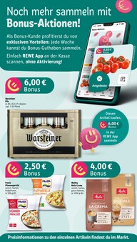 Warsteiner im REWE Prospekt "Dein Markt" mit 25 Seiten (Brühl)