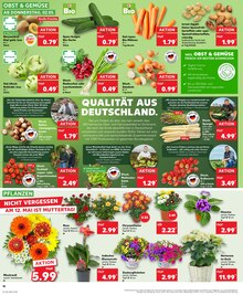 Erdbeeren im Kaufland Prospekt "Aktuelle Angebote" mit 28 Seiten (Bremerhaven)
