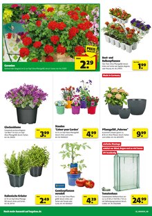 Hagebaumarkt Prospekt der Woche "Gartenarbeit steht an? SO günstig geht das!" Seite 2, 12.04.2025 bis 19.04.2025 für Bad Berleburg Aktueller Hagebaumarkt Prospekt "Gartenarbeit steht an? SO günstig geht das!" Seite 2 von 20 Seiten für Bad Berleburg