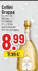 Grappa Angebote von Cellini bei Trinkgut Nettetal für 8,99 €