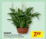 Einblatt im Angebot bei toom Baumarkt in Düsseldorf Einblatt Angebote bei toom Baumarkt Düsseldorf für 7,99 €