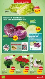 Weihnachten im Penny Prospekt in Ahrensburg Aktueller Penny Prospekt mit Weihnachten, "Wer günstig will, muss Penny.", Seite 6