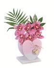 Orchideengesteck Angebote bei Lidl Schwäbisch Hall für 9,99 €