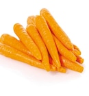 Speisemöhren von GO Regio im aktuellen Netto mit dem Scottie Prospekt