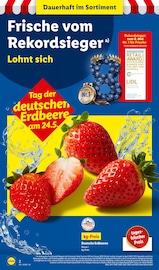 Ähnliche Papaya Angebote im Prospekt "LIDL LOHNT SICH" von Lidl in Oberhausen Ähnliche Angebote wie Papaya im Prospekt "LIDL LOHNT SICH" auf Seite 2 von Lidl in Oberhausen