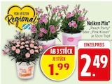 Nelken Mix Peach Party  im aktuellen EDEKA Prospekt für 1,99 €