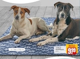 Kuscheldecke im REWE Prospekt Kuscheldecke von ZooRoyal im aktuellen REWE Prospekt für 9,99 €