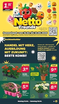 Geranien im aktuellen Netto mit dem Scottie Prospekt (Kiel) Geranien im Netto mit dem Scottie Prospekt "GĂŒnstig. Besser. FĂŒr Dich." mit 39 Seiten (Kiel)