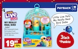 My Really Real Bird Indie Angebote von Little Live Pets bei Marktkauf Konstanz für 19,99 €