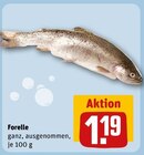 Forelle im Angebot bei REWE in Laatzen Forelle Angebote bei REWE Laatzen für 1,19 €