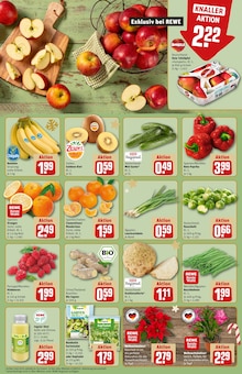 Bohnen im aktuellen REWE Prospekt (Dortmund) Bohnen im REWE Prospekt "Dein Markt" mit 28 Seiten (Dortmund)