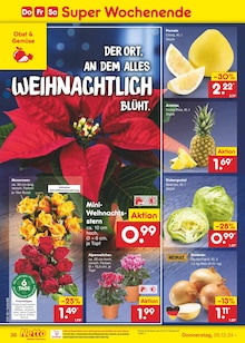 Blumen im Netto Marken-Discount Prospekt "Aktuelle Angebote" mit 63 Seiten (Köln)