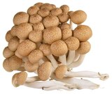 Buchenpilze im REWE Prospekt Buchenpilze im aktuellen REWE Prospekt für 1,00 €