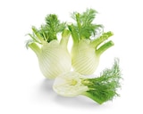 Bio Fenchel von REWE Bio im aktuellen REWE Prospekt