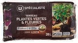 Terreau Plantes Vertes & Fleuries - Hyper U à Montreuil Terreau Plantes Vertes & Fleuries en promo chez Hyper U Montreuil à 3,99 €