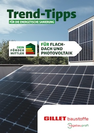 Gillet Baustoffe Prospekt für Neustadt: "Trend-Tipps FÜR DIE ENERGETISCHE SANIERUNG", 5 Seiten, 04.10.2024 - 13.10.2024