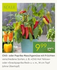 Chili im Pflanzen Kölle Prospekt Chili Hot Yellow von Kölle im aktuellen Pflanzen Kölle Prospekt für 9,99 €