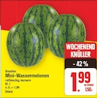 Mini-Wassermelonen im aktuellen E center Prospekt