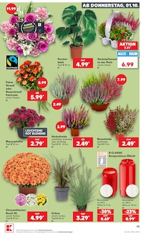 Schnittblumen Angebot im Kaufland Prospekt, gültig von 28.09.2026 bis 30.09.2026 Schnittblumen Angebot im aktuellen Kaufland Prospekt auf Seite 45