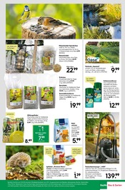 Sonnenblumenkerne im BayWa Bau- und Gartenmärkte Prospekt in Bayreuth Aktueller BayWa Bau- und Gartenmärkte Prospekt mit Sonnenblumenkerne, "Ihr Projekt im Herbst!", Seite 19