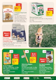 Offre Pedigree dans le catalogue Maxi Zoo du moment à la page 9