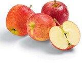 Äpfel rot im Angebot bei Netto Marken-Discount in Cottbus Äpfel rot Angebote von HEIMAT bei Netto Marken-Discount Cottbus für 1,49 €