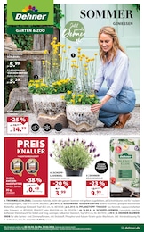 Blumentopf Angebot im aktuellen Dehner Garten-Center Prospekt auf Seite 1