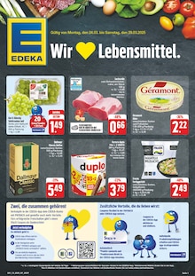 Aktueller EDEKA Prospekt für Saaleplatte mit  Seiten