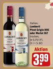 Aktuelle Getränke Angebote bei REWE in Darmstadt Aktuelles Pinot Grigio DOC Angebot bei REWE in Darmstadt ab 3,99 €