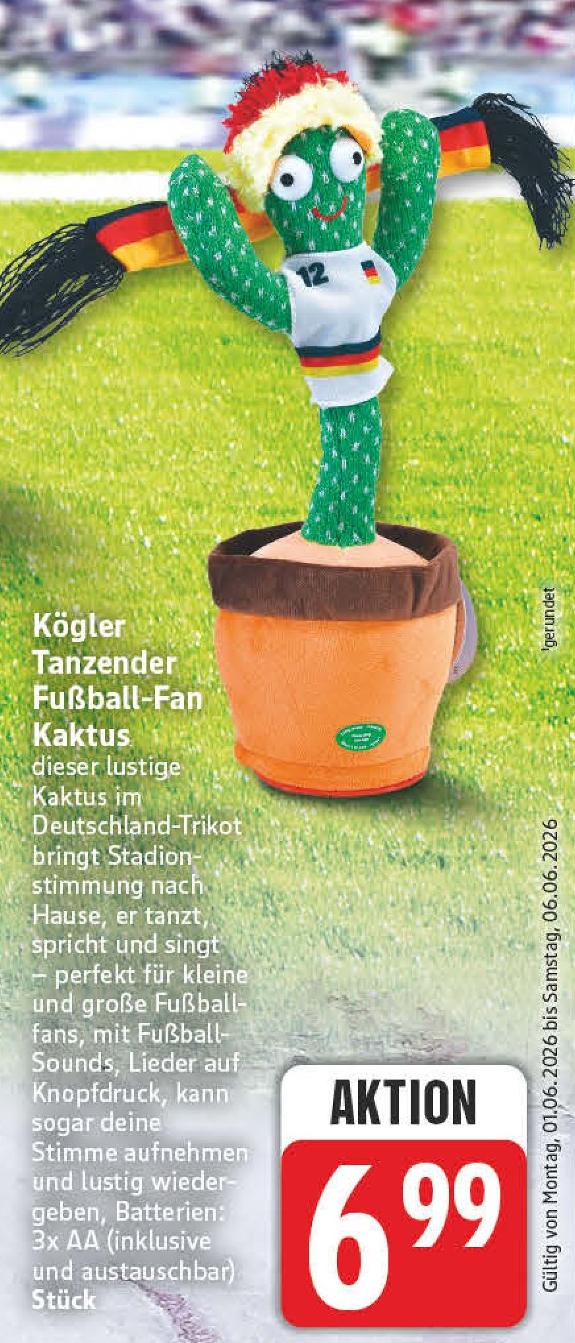 TEDi Kaktus Angebot  Finde den Preis im aktuellen Prospekt