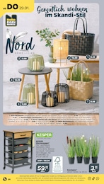 Laterne Angebot & Preis im aktuellen Netto mit dem Scottie Prospekt Laterne Angebot im aktuellen Netto mit dem Scottie Prospekt auf Seite 22