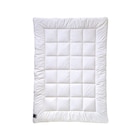 billerbeck silber Faserbettdecke Natalie Uno weiß Angebote bei Möbel Martin Wiesbaden für 79,95 €