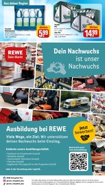 Stauden im REWE Prospekt in Kamen Aktueller REWE Prospekt mit Stauden, "Dein Markt", Seite 37
