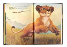 Spielzeug im aktuellen ALDI Nord Prospekt Buch zum Film „Der König der Löwen“ für 2,99 € bei ALDI Nord im Angebot