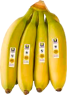Bananen Angebote von EDEKA Bio bei E center Rostock für 1,79 €