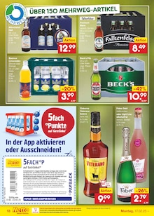 Bier im Netto Marken-Discount Prospekt "Aktuelle Angebote" mit 65 Seiten (Neubrandenburg)