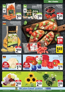 Paprika im E center Prospekt "Wir lieben Lebensmittel!" mit 52 Seiten (Dresden)