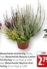 Besenheide dreifarbig Angebote bei EDEKA Rüsselsheim für 2,79 €