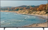 Aktuelle Fernseher Angebote bei expert in Castrop-Rauxel Aktuelles QNED Mini-LED TV 55QNED70B6C Angebot bei expert in Castrop-Rauxel ab 499,00 €