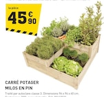 Promo Carré potager milos en pin à 45,90 € dans le catalogue Tout Faire à Noidans-lès-Vesoul