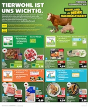 Aktueller Kaufland Prospekt mit Hackfleisch, "Aktuelle Angebote", Seite 11