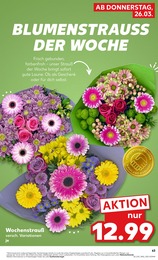 Deko im Kaufland Prospekt KNÜLLER auf S. 75