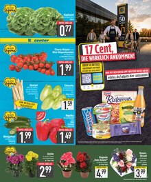 Pflanzen im aktuellen E center Prospekt (Augsburg) Pflanzen im E center Prospekt "Wir lieben Lebensmittel." mit 20 Seiten (Augsburg)
