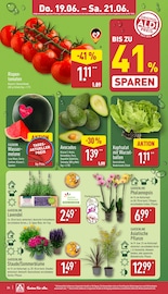 Pflanzen im ALDI Nord Prospekt in Schwerin Aktueller ALDI Nord Prospekt mit Pflanzen, "Aktuelle Angebote", Seite 26